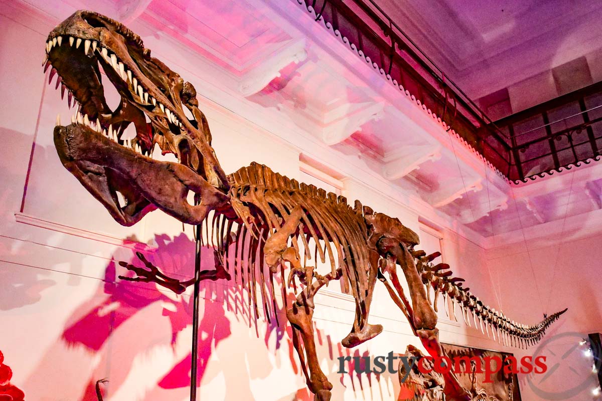 Dinosaurs have always been a hit at the Australian Museum, Sydney